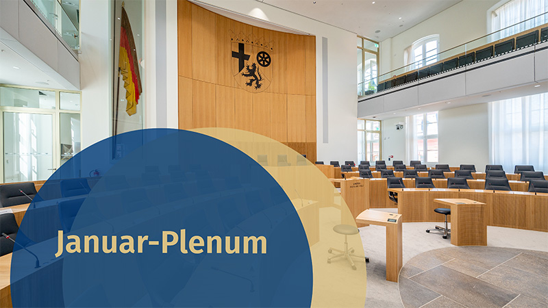 Symbolbid: Ausschnitt aus dem Plenarsaal des Deutschhauses. Januar-Plenum