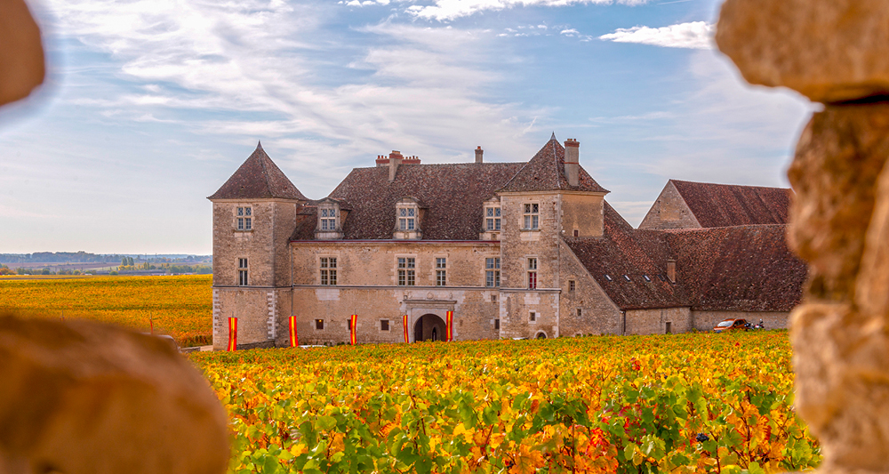 Ein historisches Schloss mit mehreren Türmen steht inmitten eines herbstlich gefärbten Weinbergs. 
