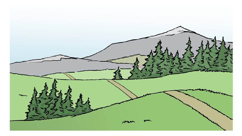 Zu sehen ist die Illustration einer Landschaft. Im Vordergrund befindet sich eine grüne Wiese mit einem eingezeichneten schmalen Weg. Auf der linken und rechten Seite stehen Bäume/Tannen. Im Hintergrund sieht man die Berge.