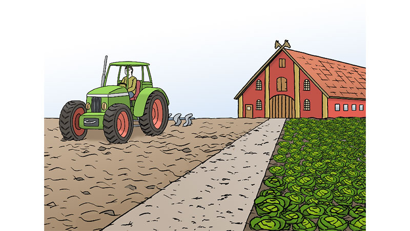 Illustration: Ein Bauer bestellt mit seinem Traktor ein Stück Land