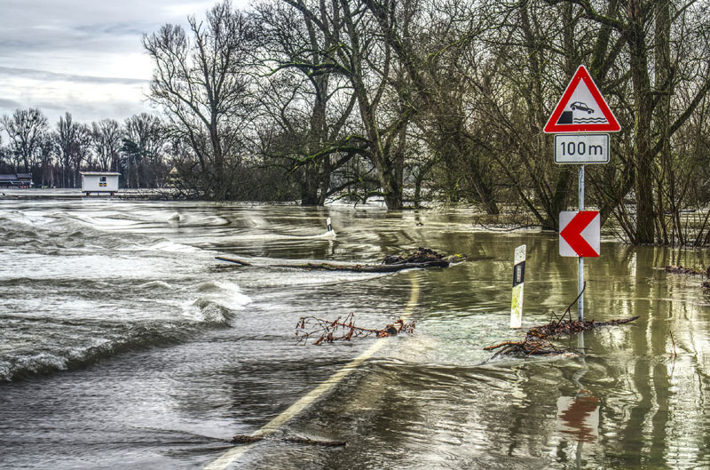 Überflutete Landschaft mit Bäumen und überflutete Straße mit Verkehrszeichen